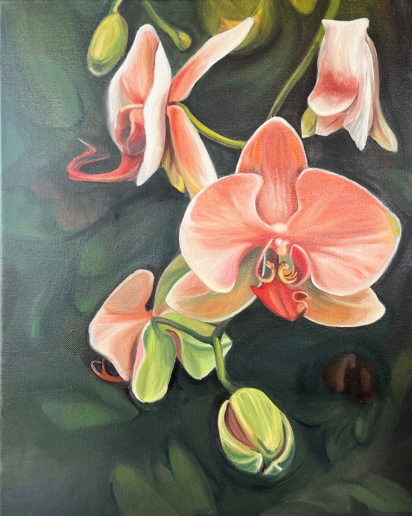 Orchids - Original