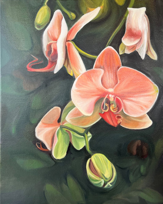 Orchids - Original