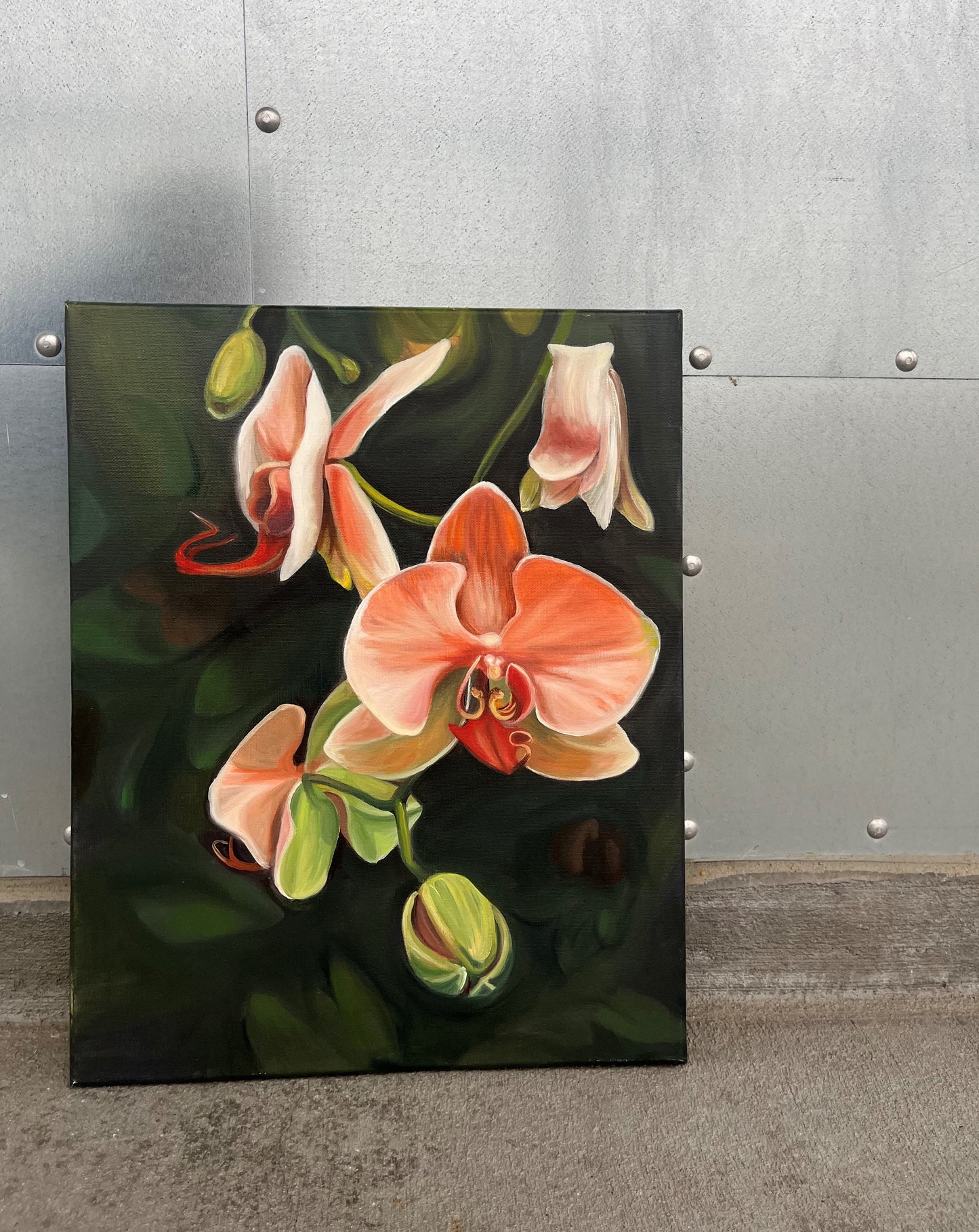 Orchids - Original